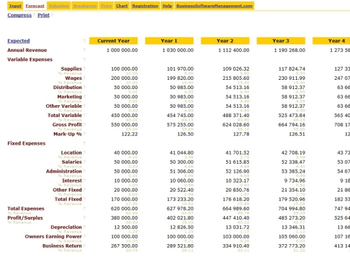 Business Analysis Software screenshot