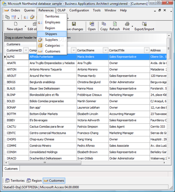 Business Applications Architect screenshot