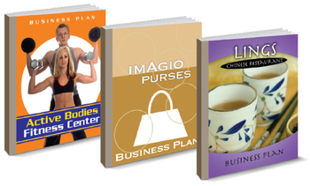 Business PlanMaker Professional Deluxe screenshot 2