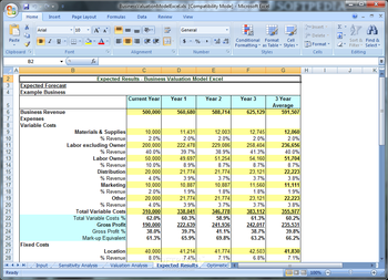 Business Valuation Model Excel screenshot 4