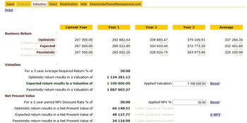 Business Valuation Software screenshot