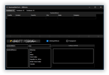 BusinessSkinForm screenshot