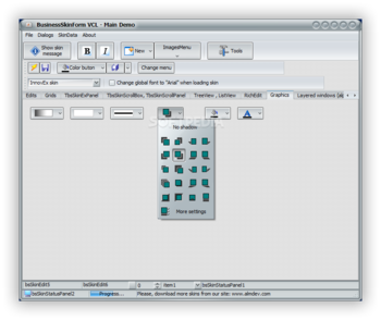 BusinessSkinForm screenshot 11