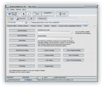 BusinessSkinForm screenshot 12