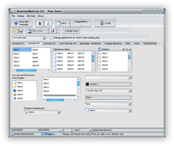 BusinessSkinForm screenshot 5