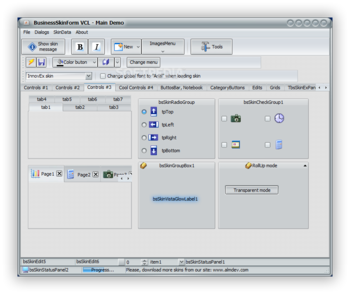 BusinessSkinForm screenshot 6