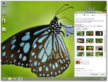 Butterflies of Nagpur Theme screenshot