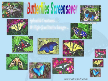 Butterflies Screensaver screenshot 3