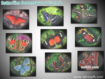 Butterflies Screensaver volume 2 screenshot 2
