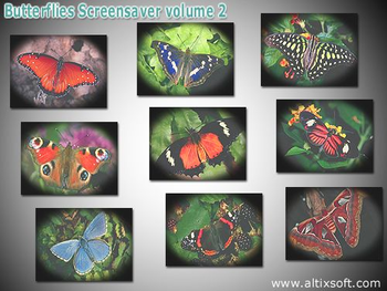 Butterflies Screensaver volume 2 screenshot 3