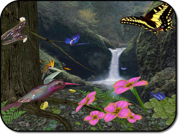 Butterflies3D screenshot 3