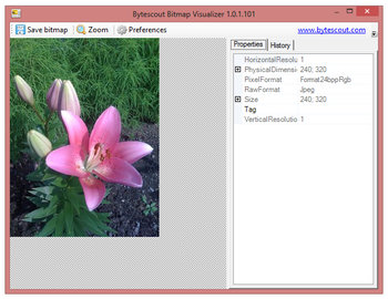 Bytescout Bitmap Visualizer screenshot 2