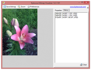 Bytescout Bitmap Visualizer screenshot 3