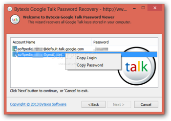 Bytexis Google Talk Password Recovery screenshot 2