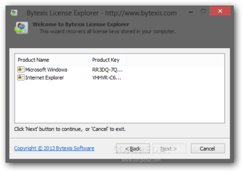 Bytexis License Explorer screenshot