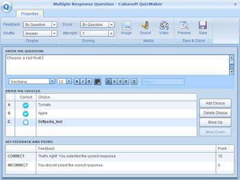 Cabasoft QuizMaker screenshot 4