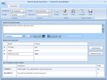 Cabasoft QuizMaker screenshot 6