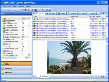 Cache View Plus screenshot