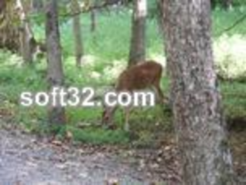 Cades Cove Scenes Screensaver screenshot 2