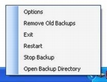 Caldsoft Auto Backup screenshot 2