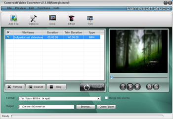 Camersoft MSN Video Recorder screenshot 2