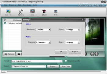 Camersoft MSN Video Recorder screenshot 3