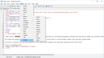 Camillo editor screenshot 7