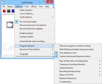 CamStudio screenshot 3