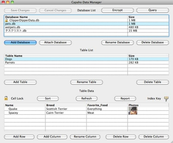 Capaho Data Manager screenshot