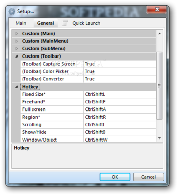 Capture .NET screenshot 14