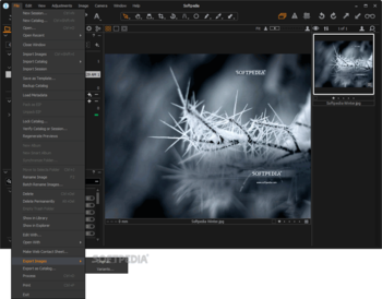 Capture One screenshot 3