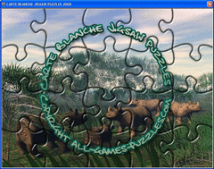 Carte Blanche Jigsaw Puzzles screenshot
