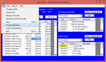 Cash Flow screenshot 2