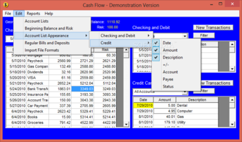 Cash Flow screenshot 3