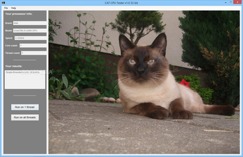 CAT CPU Tester screenshot 2