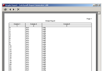 Catchysoft Report Generator screenshot