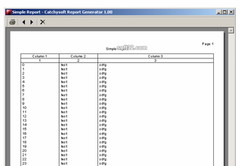 Catchysoft Report Generator screenshot 2