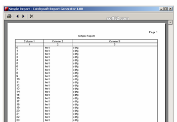 Catchysoft Report Generator Pro screenshot 3