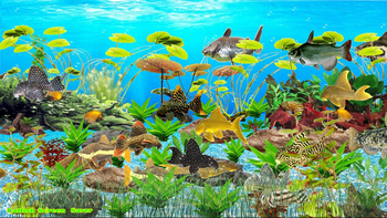 Catfish Screensaver screenshot