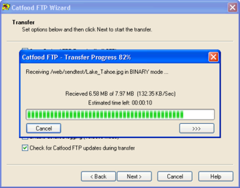 Catfood FTP Wizard screenshot 3