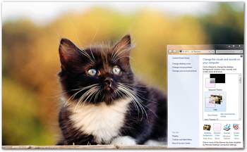 Cats Windows Theme screenshot
