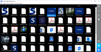 CC File Hidden Professional screenshot 2