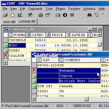 CDBF - DBF Viewer and Editor screenshot 2