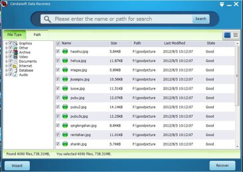 Cendarsoft Data Recovery screenshot 2