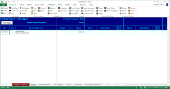 Checkbook for Excel screenshot 5