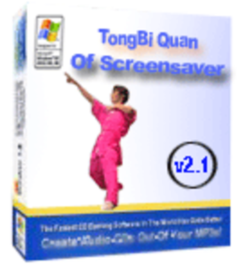 Chinese kung fu screensaver(TongBiQuan) screenshot