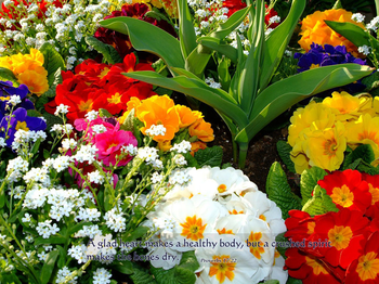 Christian ePhotos Screen Saver3 screenshot
