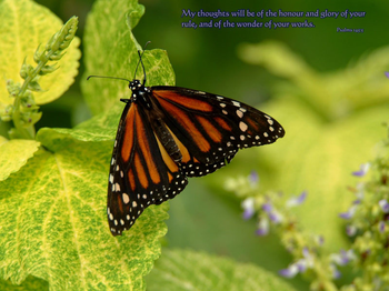 Christian ePhotos Screensaver2 screenshot 2