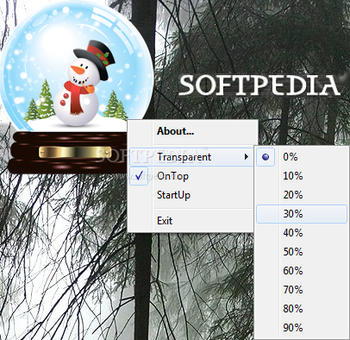 Christmas Snow Globe screenshot
