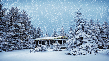Christmas Snow screenshot